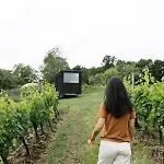 Lodge Chateau Couronneau - Parcel Tiny House - Tiny House Au Coeur D'un Domaine Viticole Bordelais Mae-2403