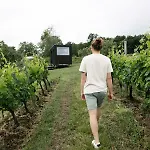 Chateau Couronneau - Parcel Tiny House - Tiny House Au Coeur D'un Domaine Viticole Bordelais Mae-2403