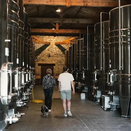 Alojamento de Turismo Selvagem Château Couronneau - Parcel Tiny House - Tiny House Au Coeur D'un Domaine Viticole Bordelais Mae-2403 Ligueux (Gironde)
