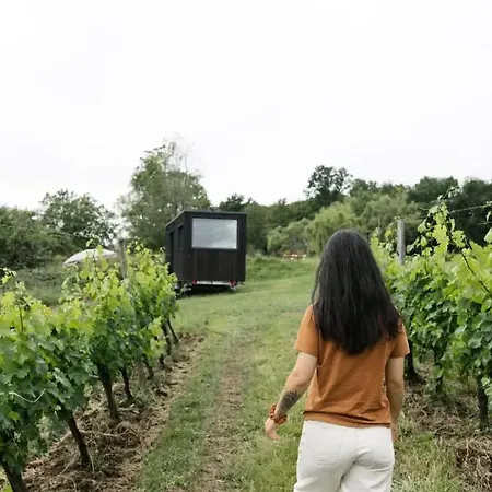 Alojamento de Turismo Selvagem Château Couronneau - Parcel Tiny House - Tiny House Au Coeur D'un Domaine Viticole Bordelais Mae-2403
